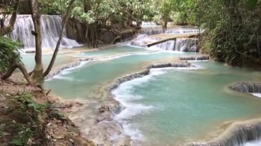 Kuang Si Şelale Parkı 'ndaki çarpıcı derin yeşil su