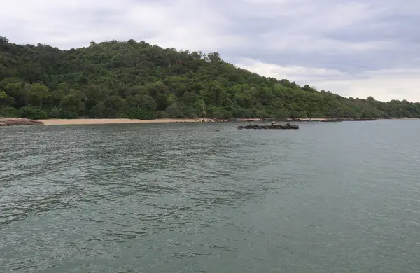 Tayland, Rayong 'da ağaçlarla kaplı bir ada. Doğanın güzellikleriyle çevrili.