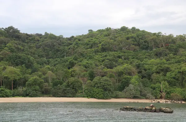 Tayland, Rayong 'da ağaçlarla kaplı bir ada. Doğanın güzellikleriyle çevrili.