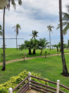 Hindistan ceviziyle süslü, yemyeşil bir bahçe ve arka planda deniz olan hurma ağaçları.