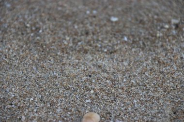 Büyük miktarda çakılla karıştırılmış kumsal kumu.