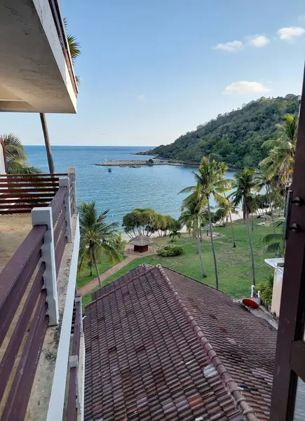 Ulusal parkın yemyeşil yeşilliği ve sahil geçidinin havadan görünüşü.