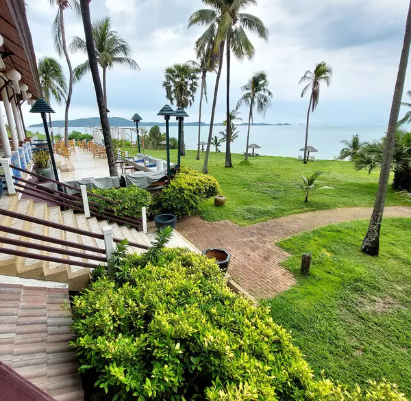 Hindistan ceviziyle süslü, yemyeşil bir bahçe ve arka planda deniz olan hurma ağaçları.