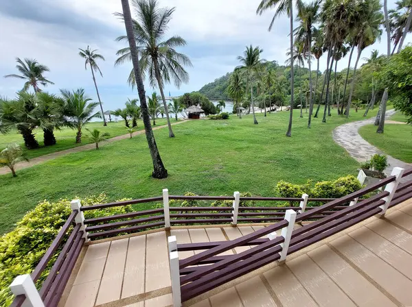 Hindistan ceviziyle süslü, yemyeşil bir bahçe ve arka planda deniz olan hurma ağaçları.