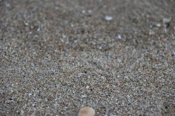 Büyük miktarda çakılla karıştırılmış kumsal kumu.