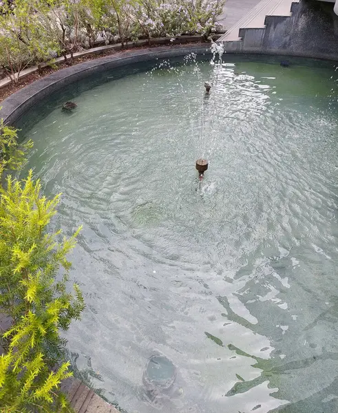 Süslü bitkilerle çevrili bir gölet ve çeşme.