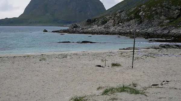 Haukland Sahili, Lofoten Adaları 'nda Sakin Deniz