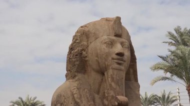 Memphis Açık Hava Müzesi 'nde bulunan eski Mısır' ı simgeleyen büyük bir kaymaktaşı sfenks heykeli..