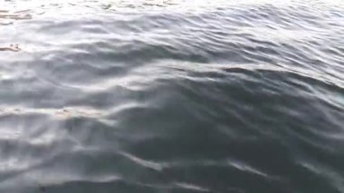 Nil Nehri 'nde su ve dalgalanma desenleri