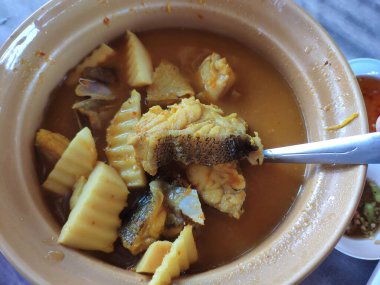 Deniz kabuğu ve hindistan cevizi filizli Güney Tayland körisi