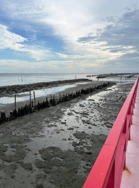 Tayland 'da doğal bir bakış açısı olan, kıyı şeridi boyunca bambu dalgaları bariyerleriyle Mangrov ormanları.