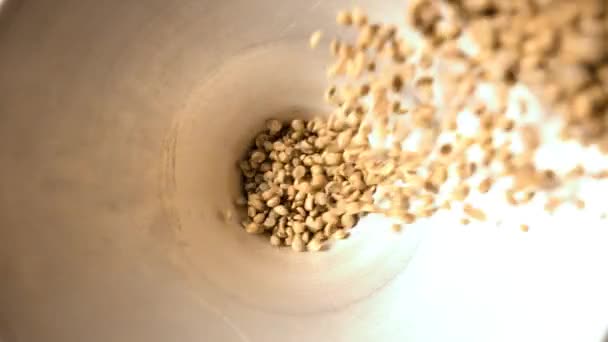 在这个令人惊叹的慢镜头中 一个新鲜烘焙的咖啡豆优雅地掉进了一堆其他的咖啡豆中 飞机着陆时 尘土飞扬 突出了豆类的重量和质感 — 图库视频影像
