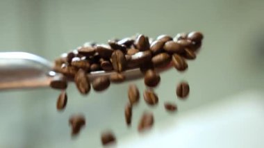 Parlak gümüş kaşıktan düşen taze pişmiş kahve çekirdeğinin yavaş çekim görüntüsü. Fasulye aşağı inerken zarifçe döner ve döner. Bu da zengin kahverengi rengini ve hassas dokusunu ortaya çıkarır..