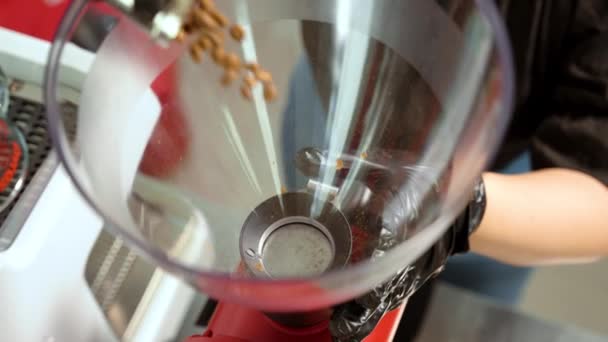 一只手的特写镜头 将咖啡豆倒入一个现代的红色咖啡机 咖啡豆在这种设备起死回生的时候倒入磨床 为完美的咖啡提供了新鲜的土壤 — 图库视频影像