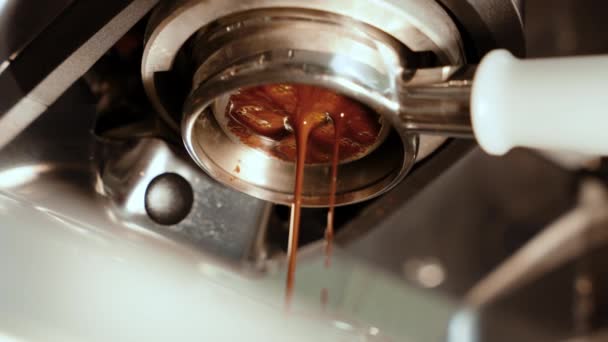 Бариста Наливает Горячий Кофе Профессиональной Машины Пар Поднимается Сливочный Кофе — стоковое видео