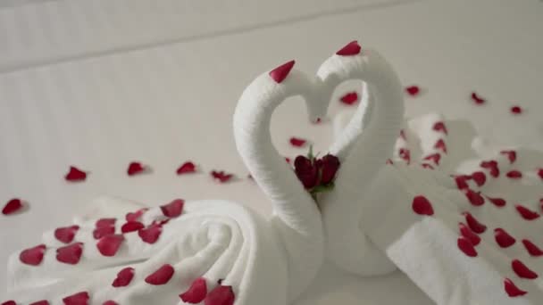 美しいバラの花びらで飾られた白鳥のような形をした見事なタオルベッドは この豪華なホテルの部屋の中心です ロマンチックな休暇や特別な機会に最適です — ストック動画