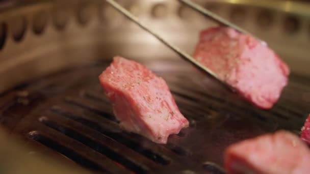 Geniet Van Een Verrukkelijk Feest Met Onze Dikke Rundvlees Grill — Stockvideo