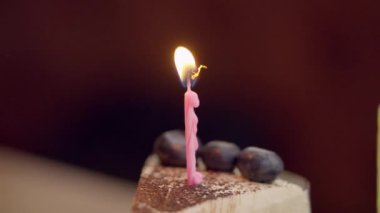 Kadın güzel dekore edilmiş bir pastanın üzerine eğilip titreyen mumları nazikçe üflüyor. Sıcaklık onun yüzünü aydınlatıyor, yeni bir yılın zaferini ve başlangıçların heyecanını simgeliyor. .