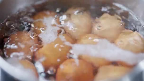 調和して沸騰する12個の卵の魅惑的なダンスを見てください 各卵は鍋に巣を作り 蒸気の渦巻きの腱を放出する 暖かさと期待を呼び起こす魅惑的な光景 — ストック動画