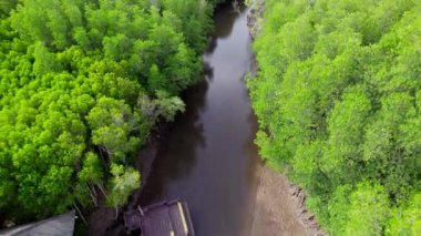 Ascend to new heights as a drone takes flight, soaring above a majestic forest river in Thailand. A captivating aerial view reveals the winding waterway embraced by verdant trees .