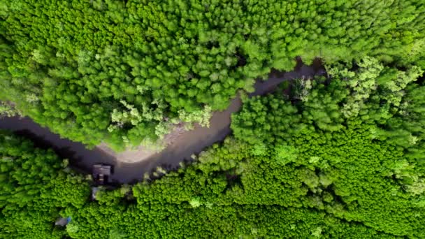 森の川の上からドローンで大自然の魅力を体験してください 上から 緑豊かな緑のキャノピーは蛇行する水に沿って踊り 調和のとれたシンフォニーを作り出します — ストック動画