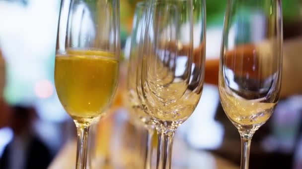 Klar Til Servere Champagneglass Den Symmetriske Fremvisningen Gjenspeiler Deres Raffinerte – stockvideo