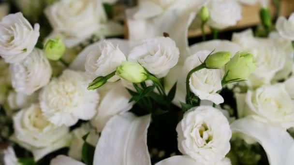 1ダースの白いバラ 純粋さと愛の象徴だ 彼らの花びらは魅惑的なディスプレイを作り出し 優雅さと時代を超越した美しさを放つ 感情と自然に魅了された視覚的な高品質の4K映像 — ストック動画