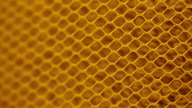 Sarı ağ dokusu, parlak ve dinamik bir ağ deseni, koyu sarı. çarpıcı ve enerjik tasarım elementleri çeşitli yaratıcı projelere bir renk ve çağdaş bir pop ekler. Yüksek kalite 4k görüntü