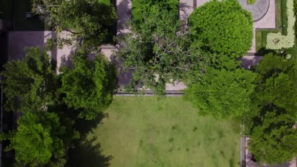 俯瞰苍翠的绿色花园 迷人的空中景色捕捉了这个苍翠的天堂里的各种阴影的交响乐 生机勃勃的树叶形成了复杂的图案 高质量的4K镜头 — 图库视频影像