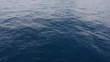 Pürüzsüz bir okyanus dalgasının değişken arkaplanı. Derin blues 'dan huzurlu suya, pürüzsüz geçiş suyun hafif dalgalanmasını yansıtıyor, dingin ve uyumlu bir ortam yaratıyor. Yüksek kalite 4k görüntü