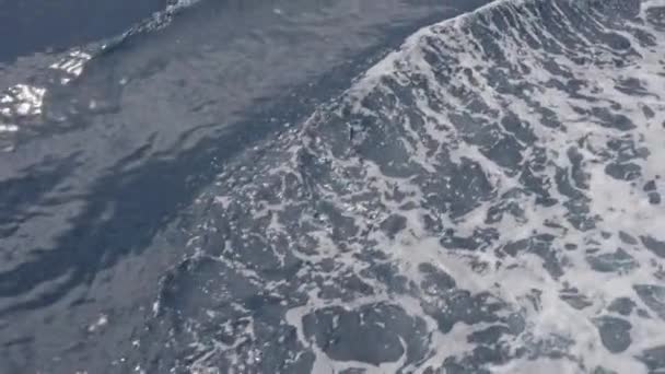 Uma Onda Oceânica Impulsionada Pela Agitação Motor Barcos Surge Com — Vídeo de Stock