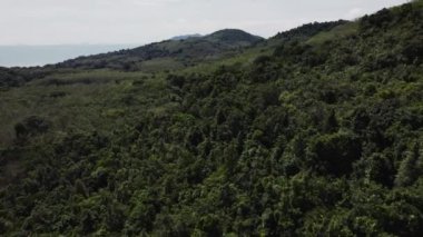 Yeşillik yeşil dağların üzerinde nefes kesici bir drone yolculuğu panoramik bir manzarayı gözler önüne seriyor. Uzakta, deniz ufukla buluşur, dağların ihtişamının ahenk içinde olduğu çarpıcı bir manzara yaratır..