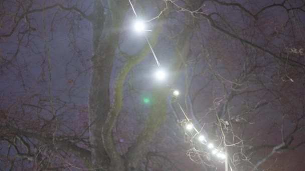 Покровом Ночи Нежный Дождь Украшает Мир Своим Присутствием Теплые Огни — стоковое видео