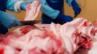 Mavi üniformalı bir kasabın temiz bir yüzeyde ustalıkla domuz etini keserken yakın plan fotoğrafı. Kesin teknik ve taze et dokuları profesyonel zanaatkarlığı vurguluyor. Yüksek kalite 4k görüntü