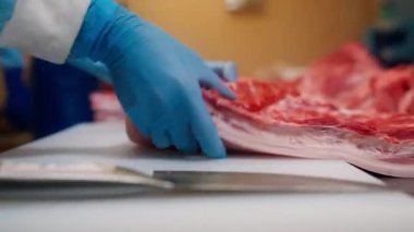 Et işleme fabrikasındaki geniş açı işçilerin sterilize masalarda domuz etini etkili bir şekilde kestiğini gösteriyor. Üniforma ve eldiven giyerek hassasiyet ve hijyen gösteriyorlar..