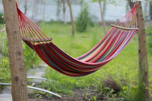 hammock in the garden