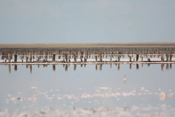bir saltlake / kırmızı pembe tuz gölü