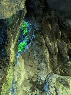 Mağaranın güzel manzarası 