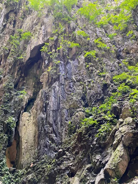 Dağlardaki güzel dağ manzarası 