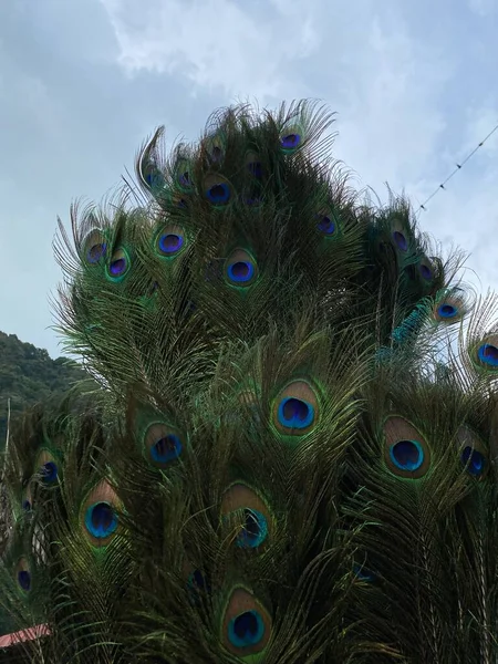 Barselona şehrinin güzel manzarası 