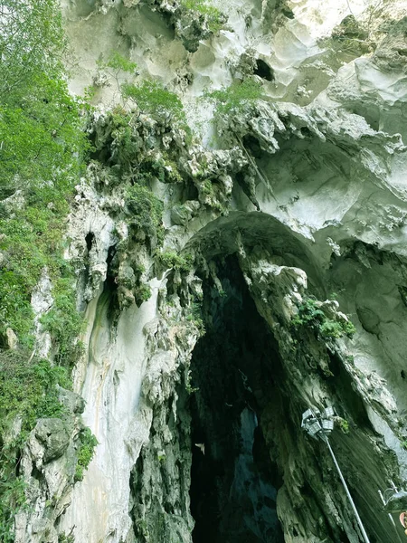 Ormanda güzel bir şelale 