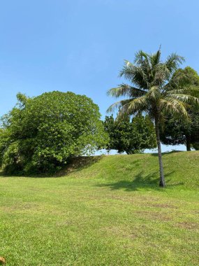 Taman Tasik Milenyumu Malezya 'da 