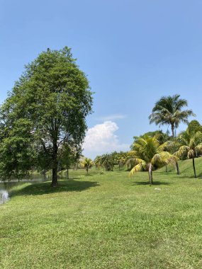 Taman Tasik Milenyumu Malezya 'da 