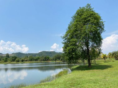 Taman Tasik Milenyumu Malezya 'da 