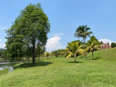 Taman Tasik Milenyumu Malezya 'da 