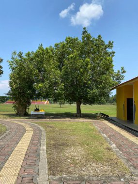 Taman Tasik Milenyumu Malezya 'da 