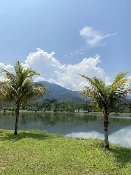 Taman Tasik Milenyumu Malezya 'da 