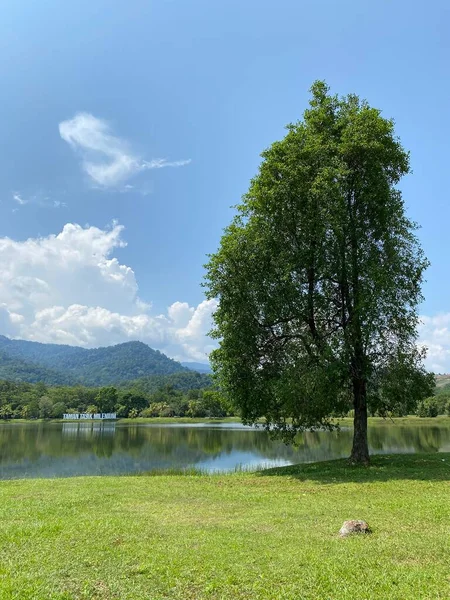 Taman Tasik Milenyumu Malezya 'da 