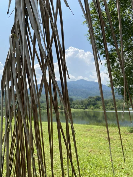 Taman Tasik Milenyumu Malezya 'da 