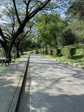 Parkın güzel manzarası 